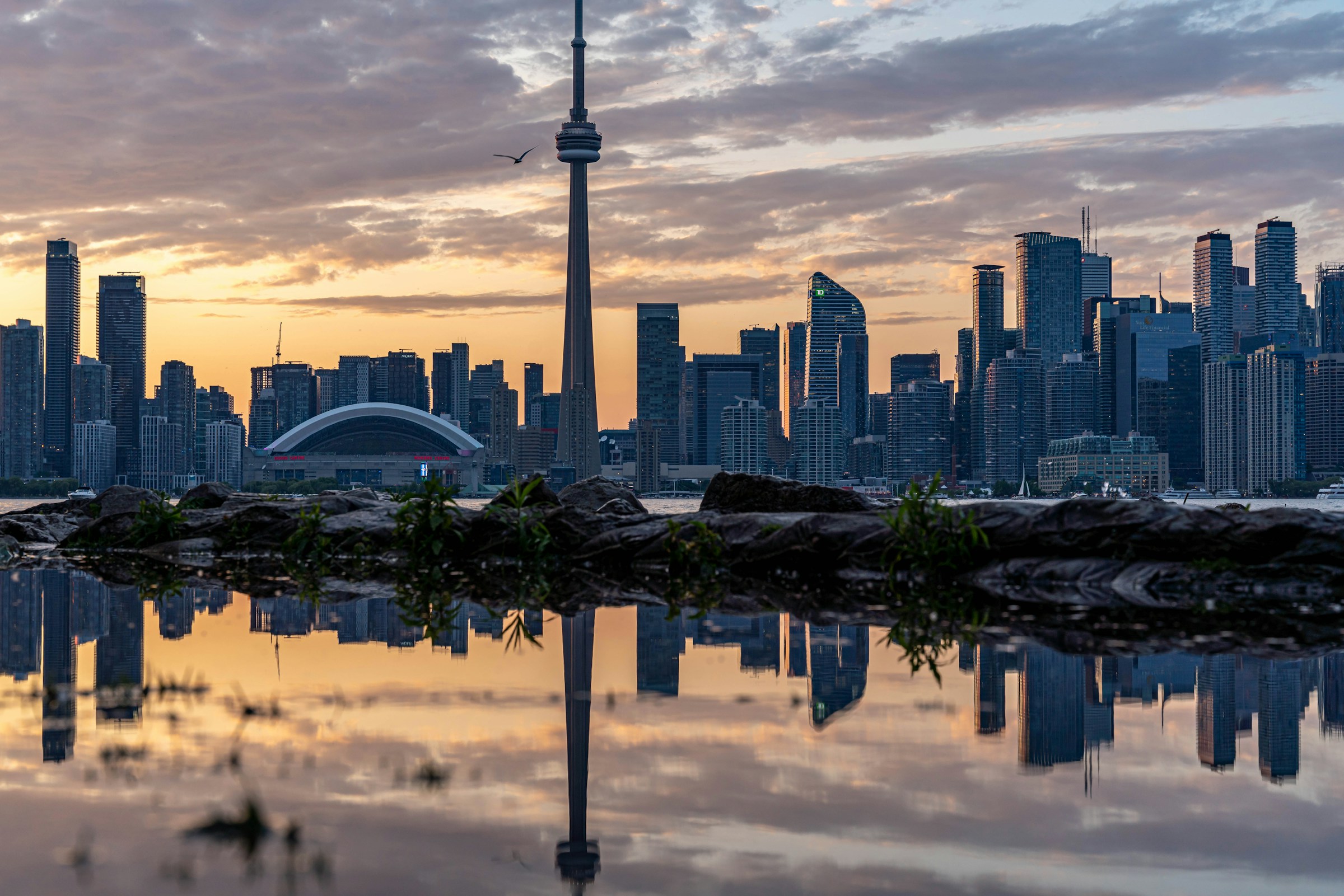 The CN Tower and Toronto skyline reflected in Lake Ontario at dusk